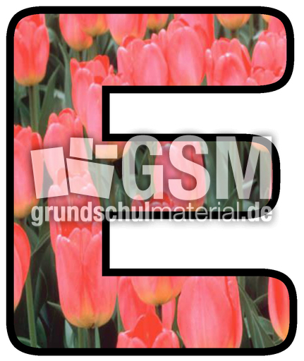 Dekobuchstaben-Tulpe_E.jpg